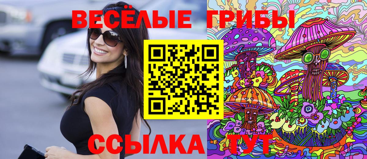 Галлюциногенные грибы Cubensis Новотроицк
